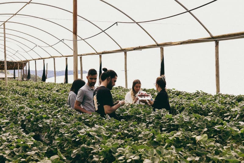 Agronomist in field