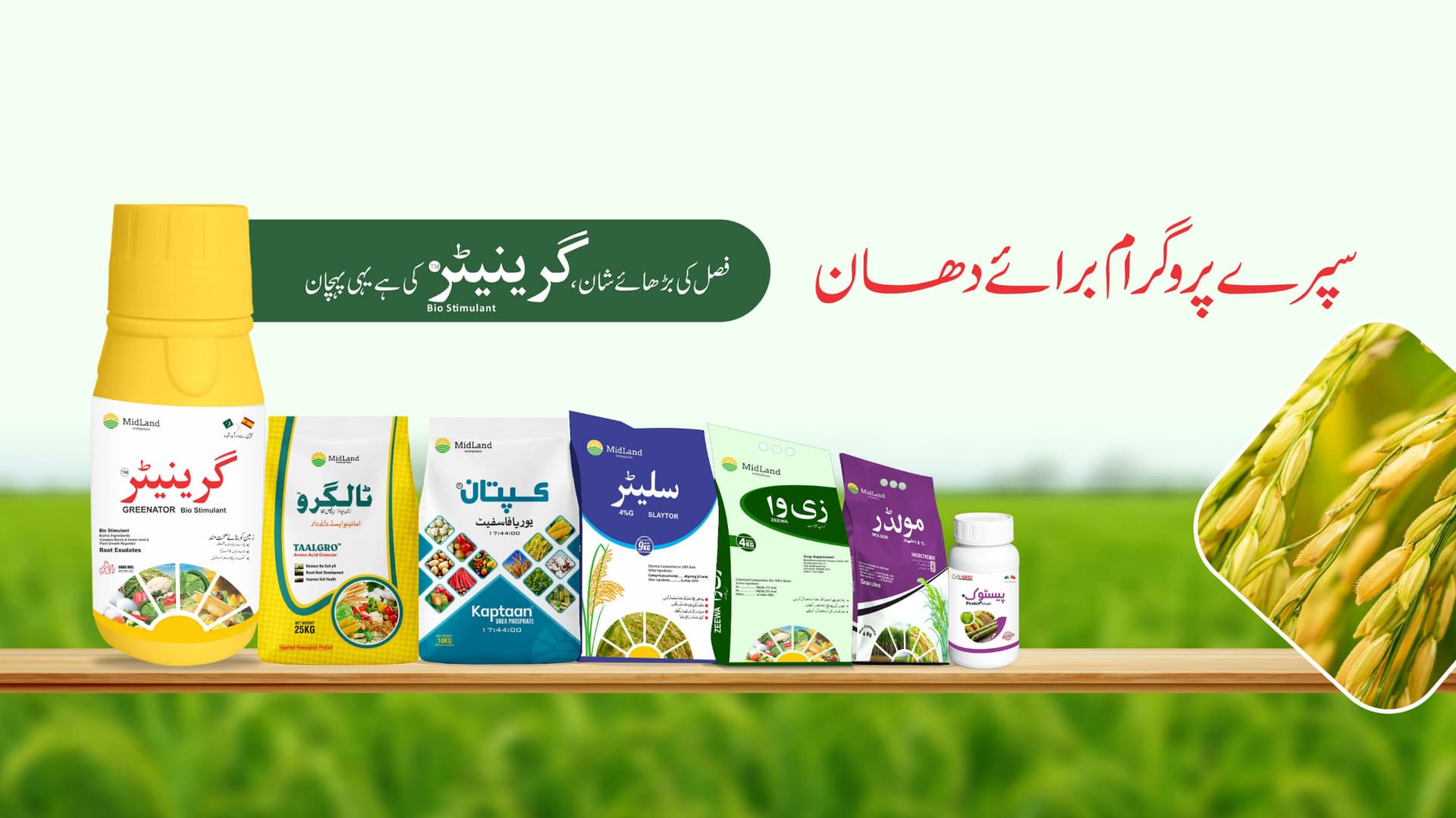 Sapray Programe in the field with a farmer