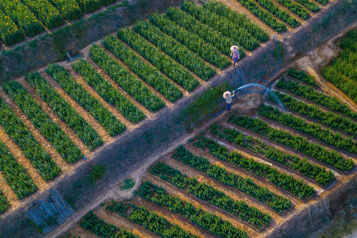 Sustainable farming landscape