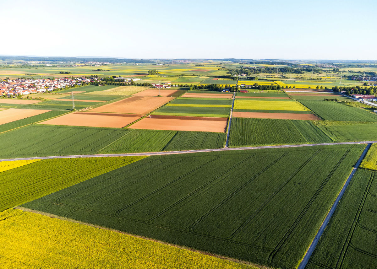 Open agricultural field